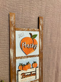 Interchangeable Leaning Ladder- Peaches