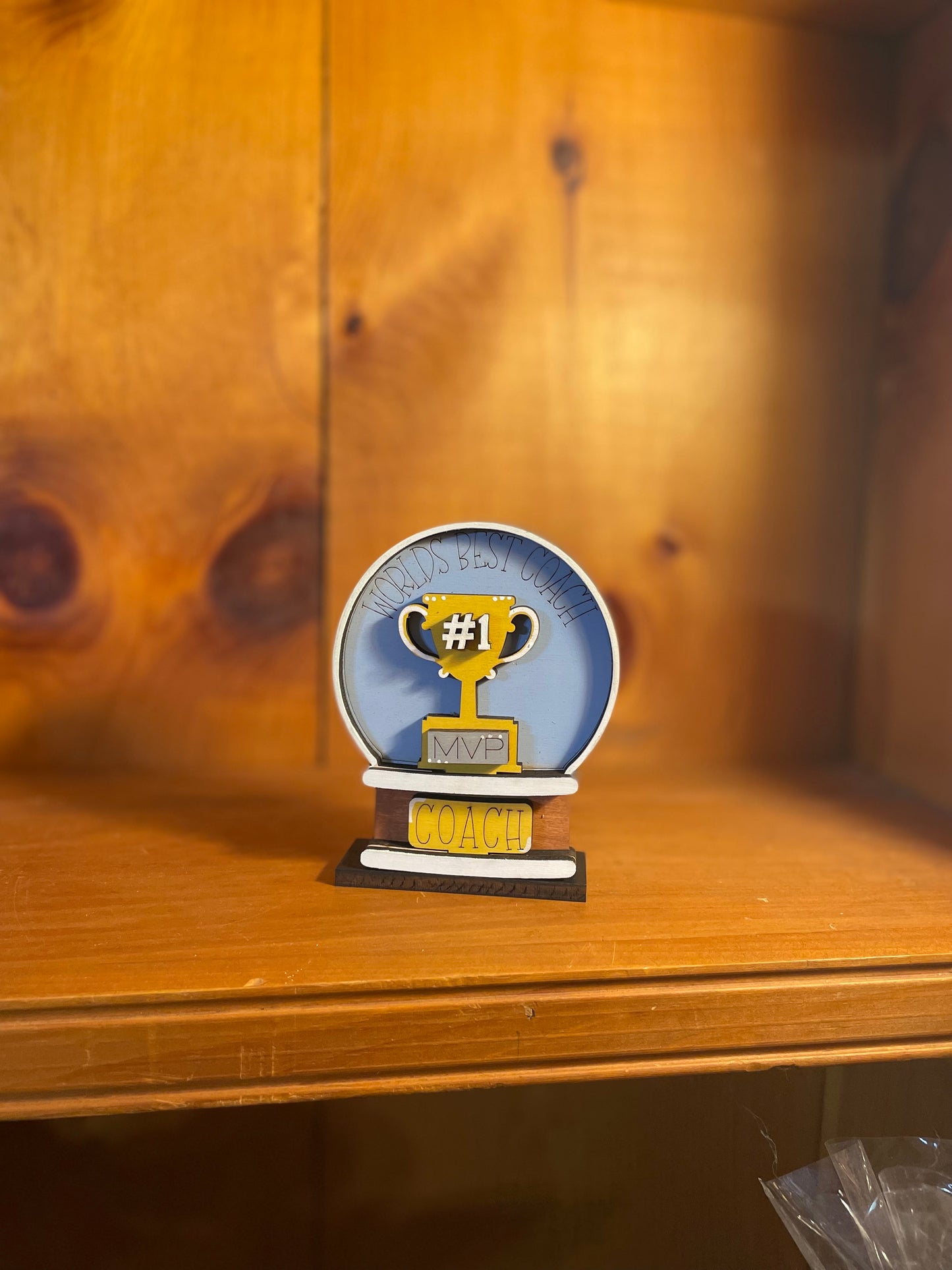 Mini Sports Snowglobe Shelf Sitters