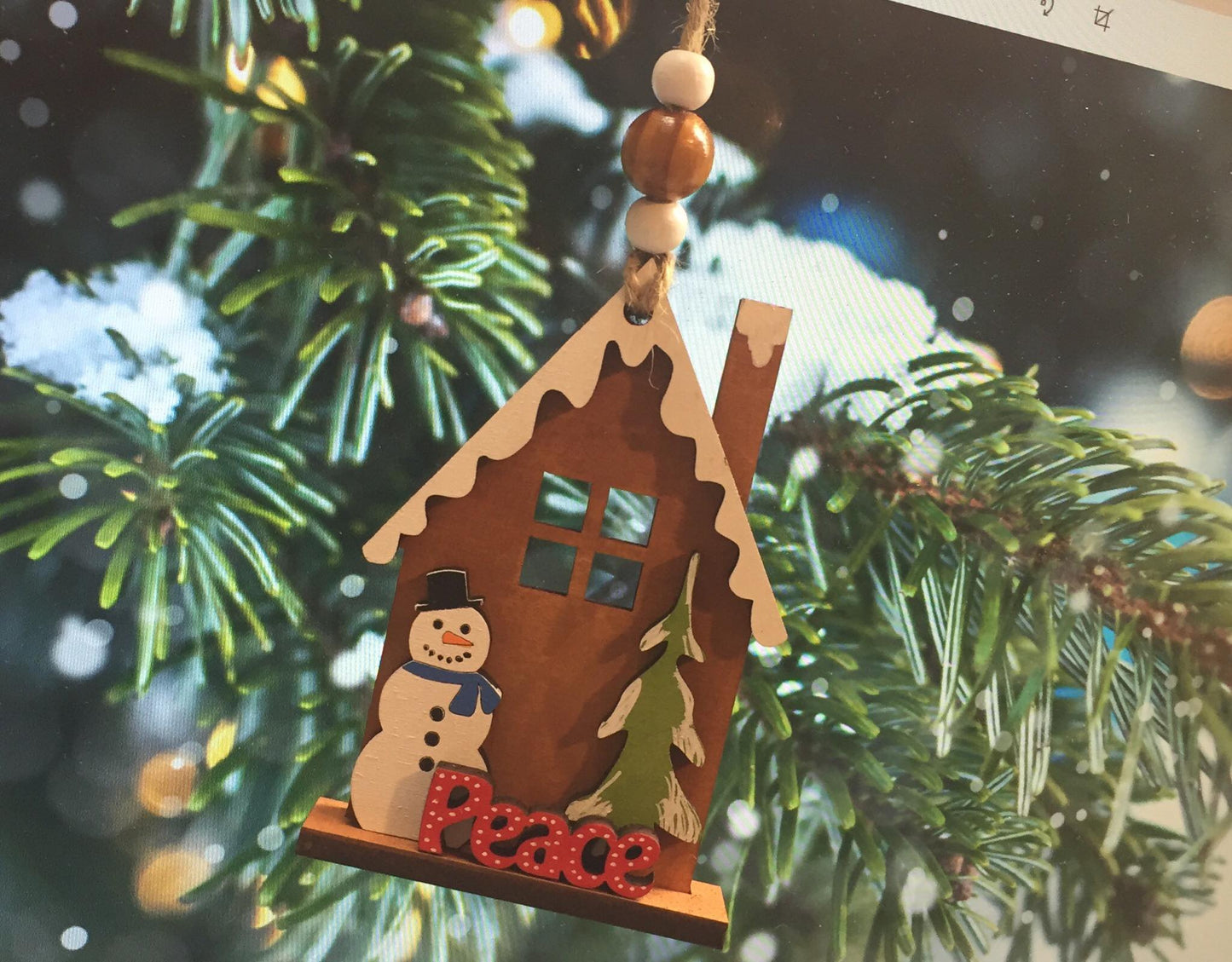 Ornaments- Winter House