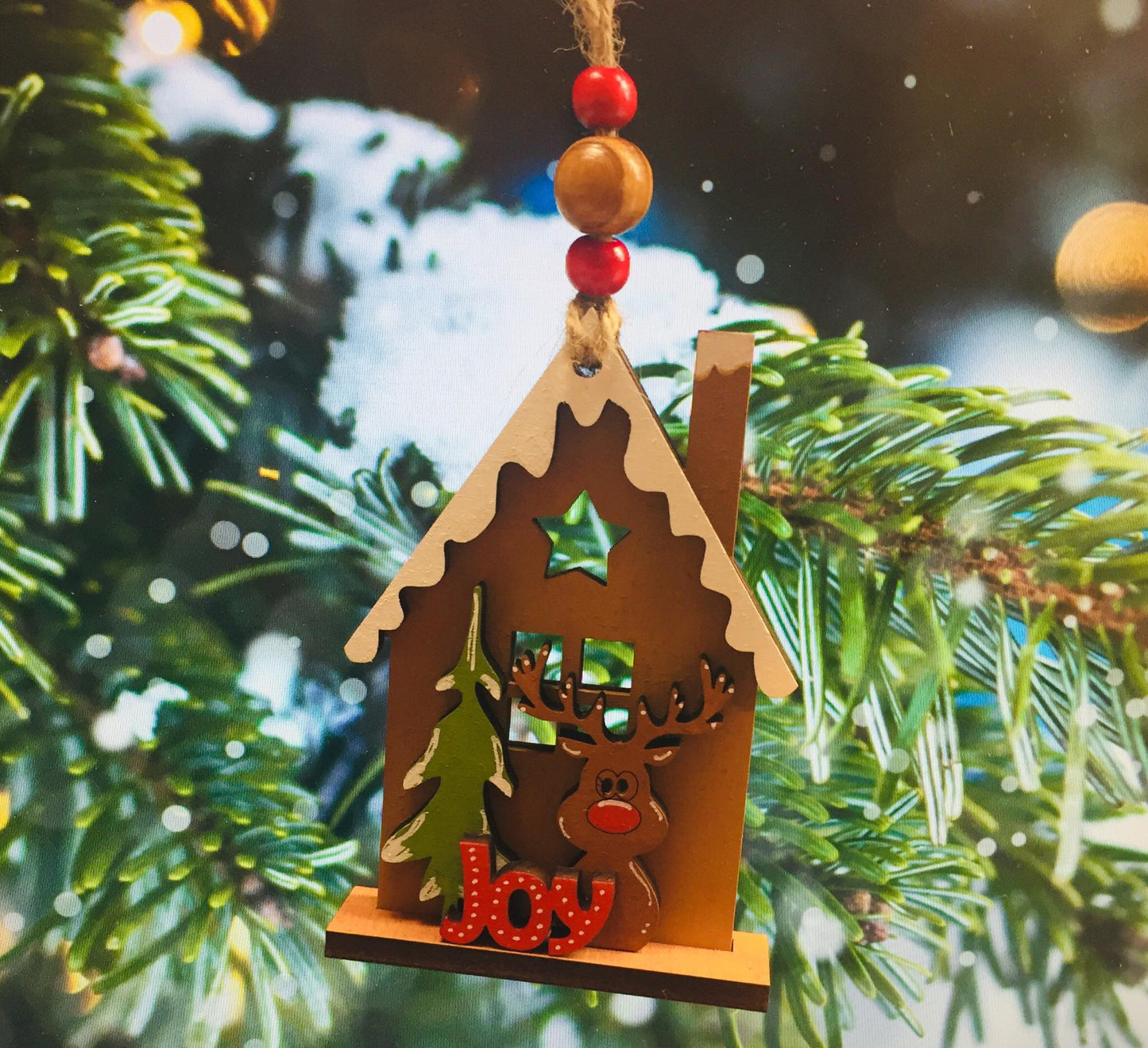 Ornaments- Winter House