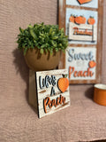 Interchangeable Leaning Ladder- Peaches