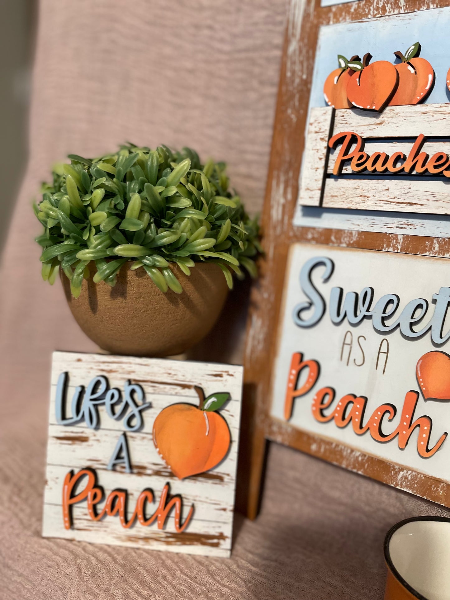 Interchangeable Leaning Ladder- Peaches