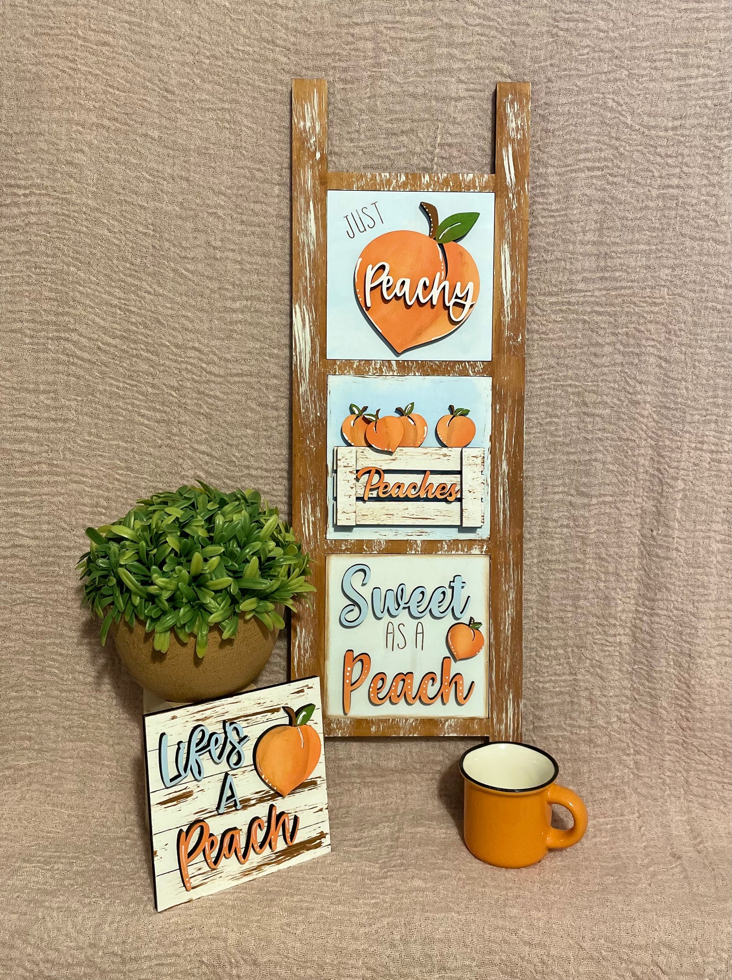 Interchangeable Leaning Ladder- Peaches
