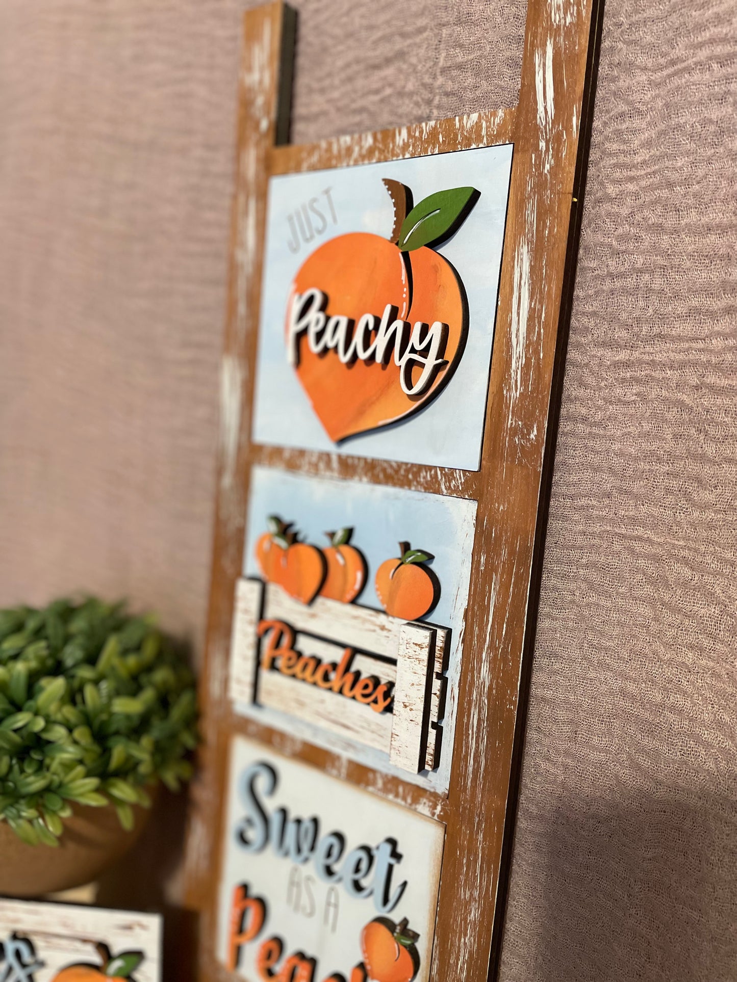 Interchangeable Leaning Ladder- Peaches